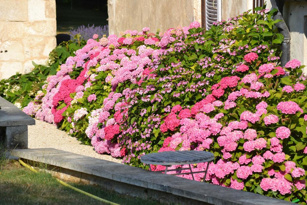 La Maison Du Potager De Mazieres Sainte-Solange Eksteriør bilde
