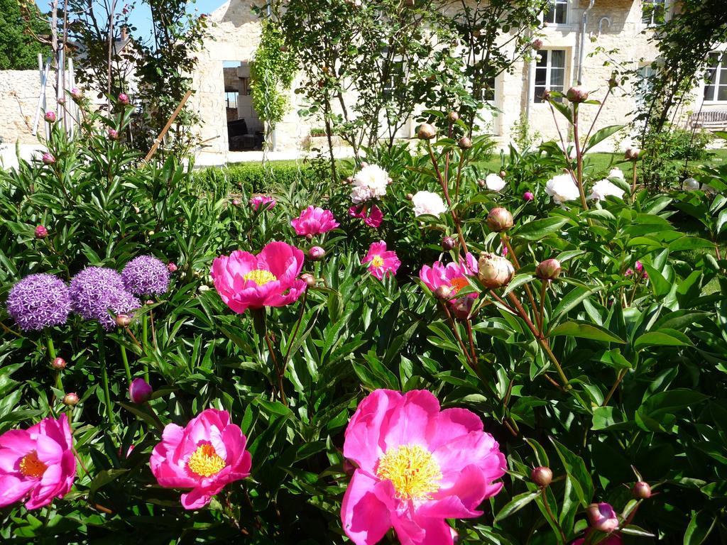La Maison Du Potager De Mazieres Sainte-Solange Eksteriør bilde